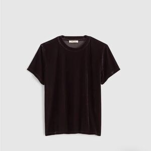 Madewell The Relaxed Tee in Velvet NWT